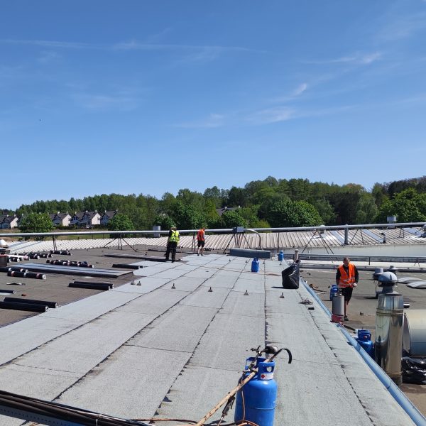 Kopia 1741516337679